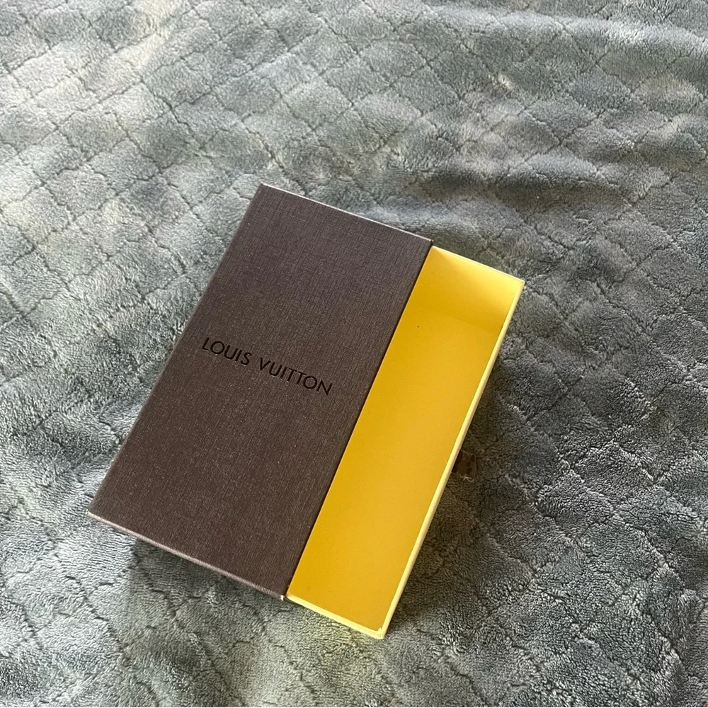 Louis Vuitton elegant louis